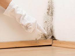 Best Forensic Mold Investigation  in Mount Juliet, TN